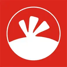 KoDuckYa - Trading Card & Pop Figure Blind Box Store